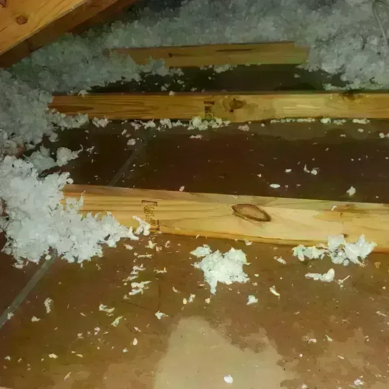 Attic Water Damage in Snyder, OK