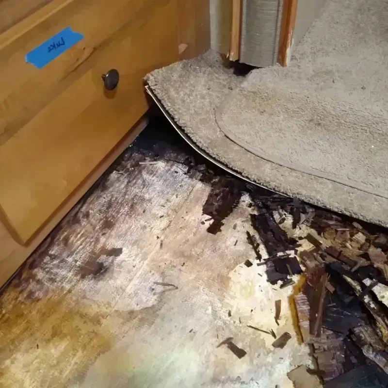 Wood Floor Water Damage in Snyder, OK